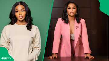 Madlanga Commission hears how much money Vusi "Cat" Matlala paid to have Tebogo Thobejane killed