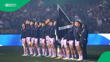 Scotland name 4 South African-born players for Tests against All Blacks and Wallabies