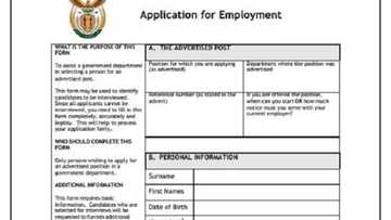 A step-by-step guide on how to fill in the z83 form