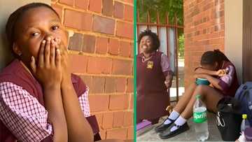 Student takes wrong lunchbox to school, TikTok video of unappetising leftovers has SA amused