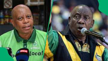 Herman Mashaba urges Ramaphosa to act as zama zama violence drives families from their homes