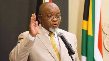 Gwede Mantashe says ANC needs to defeat corruption before it's destroyed