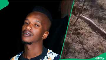 "Call the SPCA unit": Man films a giant snake going into a pit, SA stunned