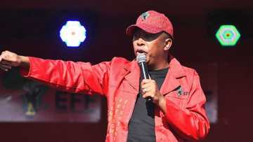 Malema says under EFF rule Sassa recipients won't pay water and electricity bills, people in the suburbs will