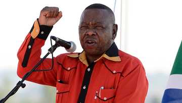 SACP's Blade Nzimande says South Africa needs a state owned bank, suggests African Bank