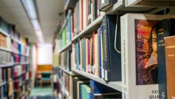 Censorship or evolution? 'Sensitivity readers' divide publishing world