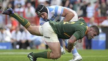 Japan-based Springboks available for England Test