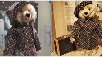 World's most expensive: Video shows the Louis Vuitton teddy bear worth a whopping$2.1m