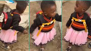 "Some teachers will not make heaven": Little boy returns from school in a skirt, funny video trends