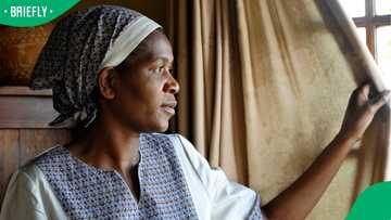 Mbombela High Court orders RAF to pay domestic worker R330,000 after no-payslip dispute