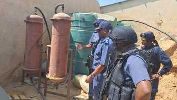 Police arrest 14 Zama zamas while conducting Operation O Kae Molao in Ekurhuleni