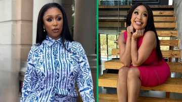 Minnie Dlamini discusses elections and makes English blunder, SA brings up her joke about Itu Khune's literacy