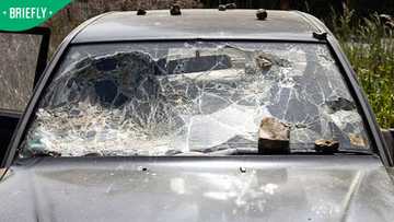 Woman killed after rock thrown from Concord road bridge smashes car on R24