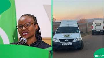 City of Tshwane arrests over 90 illegal immigrants after informal settlement raids, SA celebrates