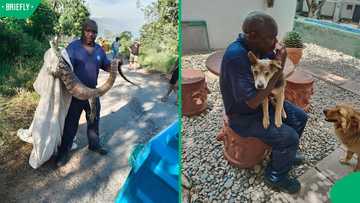 “Let’s help this man”: Mzansi rallies to save blind SPCA hero’s eyesight through crowdfunding