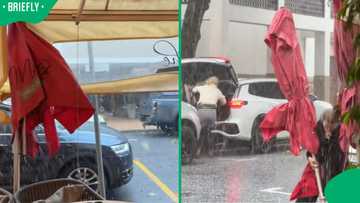 "Yho! Is this real?": TikTok video shows Cape Town level 8 storm battering Stellenbosch restaurant