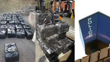 Cops make massive R500m bust at Durban harbour, seize 999 cocaine bricks