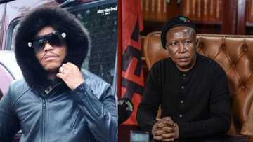 Somizi Mhlongo's knee likened to Julius Malema's face, SA in stitches