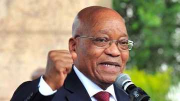 Zuma trends online as tweeps reflect on his time as president of South Africa