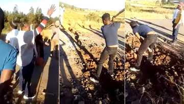 Viral video shows KZN man destroying road, Mzansi triggered