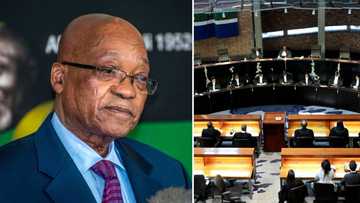 Constitutional Court dismisses former President Jacob Zuma's bid to overturn Supreme Court of Appeal's decision