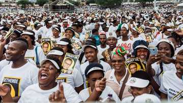 IFP snatches KZN wards from ANC, Mzansi praises party: “We are heading in the right direction”