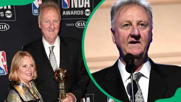 Who is Dinah Mattingly? Get to know Larry Bird's wife