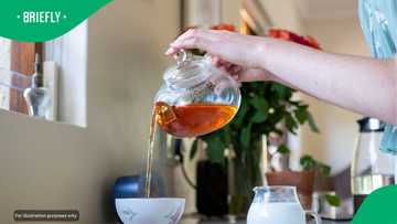 South Africa to send rooibos seeds to the International Space Station in October
