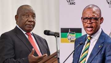 Ramaphosa did not expect Ace Magashule to take legal action against the ANC