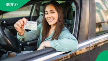 No more plastic? Say goodbye to the driving licence card you know