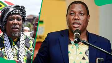 Who is Bheki Mtolo? From Kokstad mayor to ANC leadership