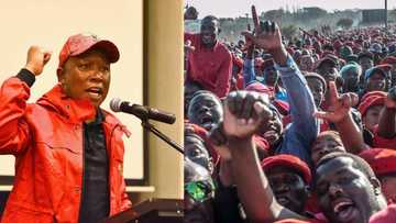 Julius Malema's Twitter account suspended following inflammatory post