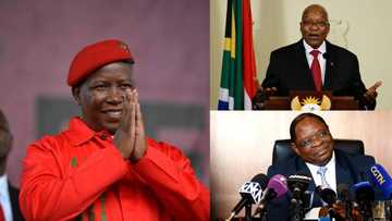 Malema says Zondo must reveal secret meeting with Zuma and he will do the same