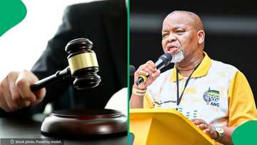 Gwede Mantashe wins defamation case as court finds theft claim false, SA says judiciary is captured