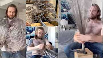 Talented man makes beautiful tree sculpture from stainless steel wires