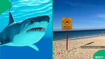 Critical shark attack at Sydney beach triggers emergency response and closures