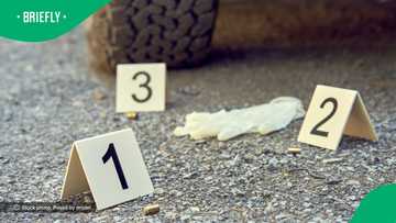 5 murder suspects killed in deadly shootout with SAPS in KwaZulu-Natal
