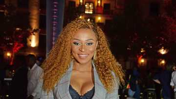 DJ Zinhle’s biography: age, career, boyfriend, daughters, net worth, house