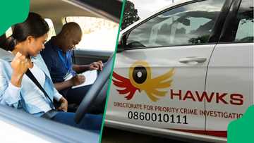 Hawks arrest 14 Mpumalanga traffic officers for fraudulent driver’s and vehicle licenses