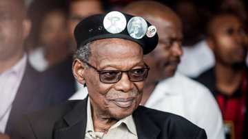 Mangosuthu Buthelezi condemns violence in KZN, calls for urgent action