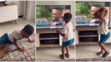 Little boy jumps for joy, screams and hugs air after seeing his dad speaking on TV, video warms hearts