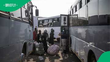 Documented Zimbabwean children drop out of South African schools amid xenophobic fears