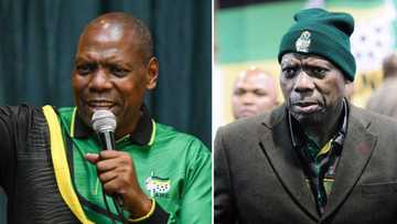 The rise and fall of Zweli Mkhize and how he drummed up support to run for ANC presidency