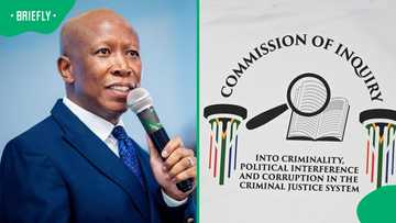 Madlanga Commission: EFF president Julius Malema's alleged ties with KT Molefe exposed