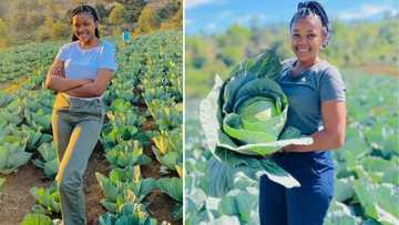 Resilient self-taught farmer from KZN makes big moves in agricultural industry