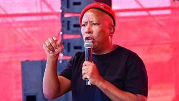 "Game changer": EFF plans to create labour union to represent workers' needs