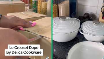 Woman unboxes Le Creuset dupes bought from Takealot, video of cast iron pots wows SA