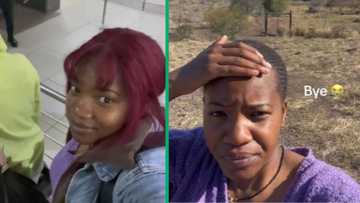Woman hijacked on bus from Johannesburg to Cape Town, Mzansi in tears as she loses wig