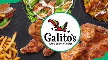 Galito’s menu and prices in South Africa (updated for 2025)