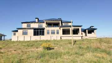 Mzansi inspired by Eastern Cape village mansion allegedly built for R1.5M, Twitter photo of house has peeps debating about cost